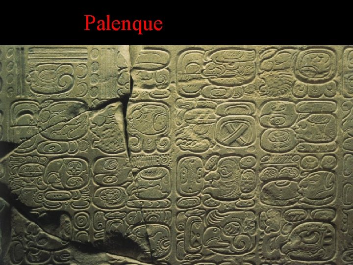 Palenque Palenque