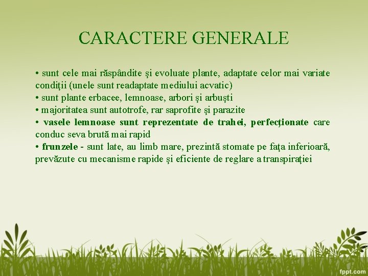 CARACTERE GENERALE • sunt cele mai răspândite şi evoluate plante, adaptate celor mai variate CARACTERE GENERALE • sunt cele mai răspândite şi evoluate plante, adaptate celor mai variate