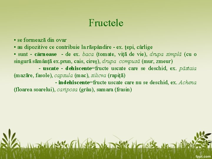 Fructele • se formează din ovar • au dipozitive ce contribuie la răspândire - Fructele • se formează din ovar • au dipozitive ce contribuie la răspândire -