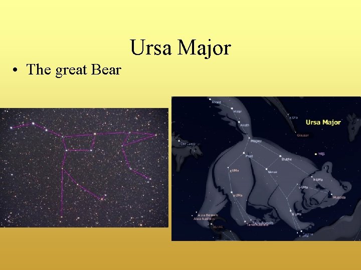 Ursa Major • The great Bear 