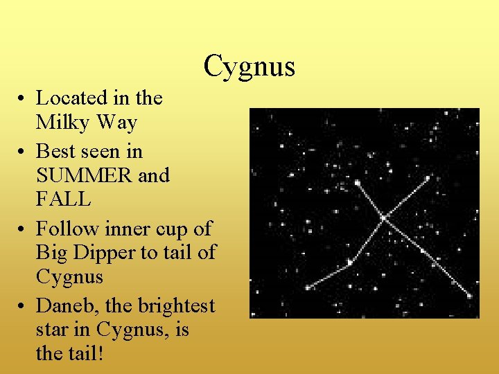 Cygnus • Located in the Milky Way • Best seen in SUMMER and FALL