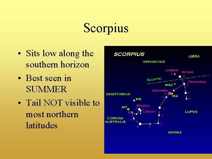 Scorpius • Sits low along the southern horizon • Best seen in SUMMER •