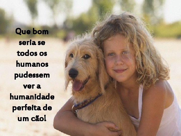 Que bom seria se todos os humanos pudessem ver a humanidade perfeita de um