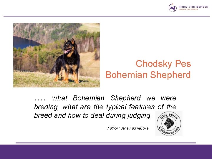 „ Chodsky Pes Bohemian Shepherd …. what Bohemian Shepherd we were breding, what are