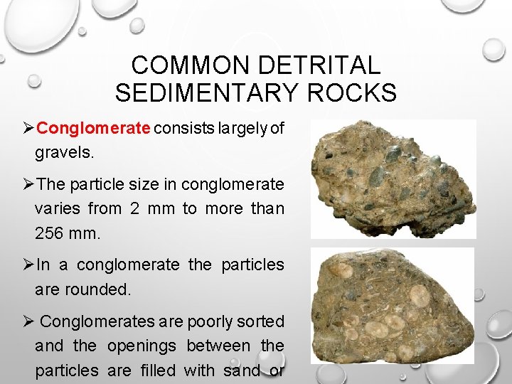 COMMON DETRITAL SEDIMENTARY ROCKS ØConglomerate consists largely of gravels. ØThe particle size in conglomerate