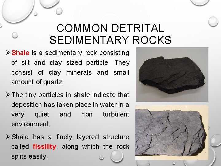 COMMON DETRITAL SEDIMENTARY ROCKS ØShale is a sedimentary rock consisting of silt and clay