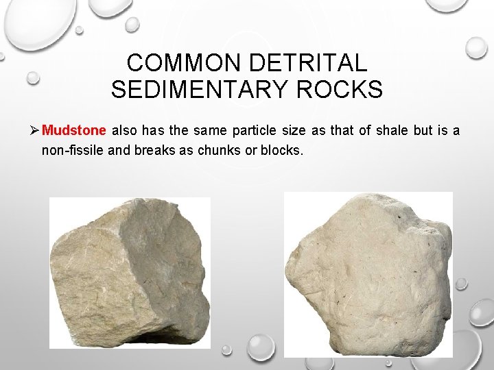 COMMON DETRITAL SEDIMENTARY ROCKS Ø Mudstone also has the same particle size as that