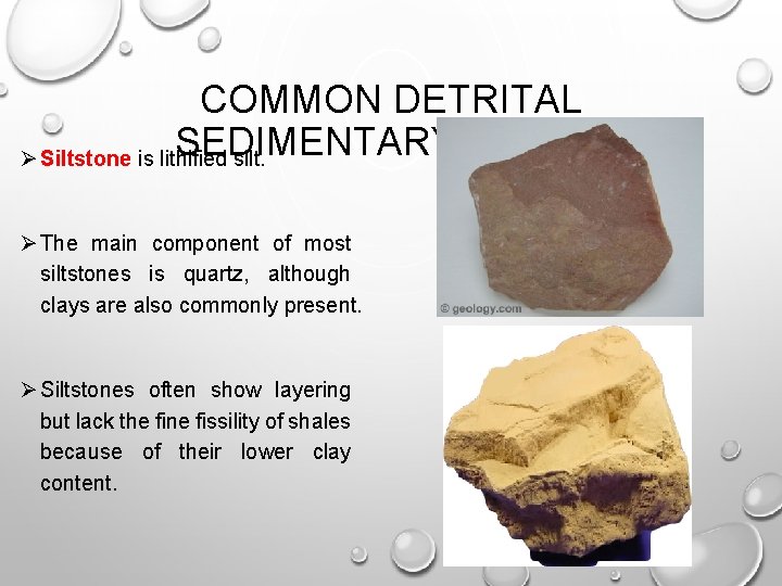 COMMON DETRITAL SEDIMENTARY ROCKS Ø Siltstone is lithified silt. Ø The main component of