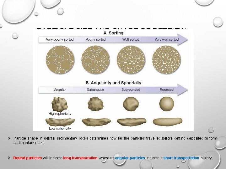 PARTICLE SIZE AND SHAPE OF DETRITAL SEDIMENTARY ROCKS Ø Particle shape in detrital sedimentary