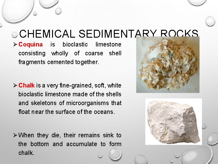 CHEMICAL SEDIMENTARY ROCKS Ø Coquina is bioclastic limestone consisting wholly of coarse shell fragments