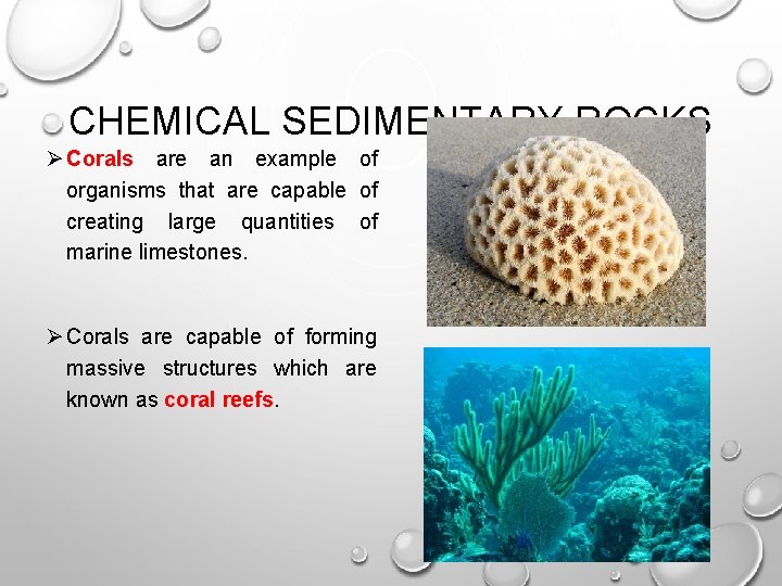 CHEMICAL SEDIMENTARY ROCKS Ø Corals are an example of organisms that are capable of