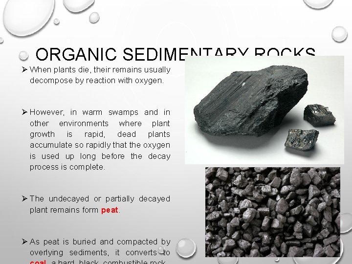 ORGANIC SEDIMENTARY ROCKS Ø When plants die, their remains usually decompose by reaction with