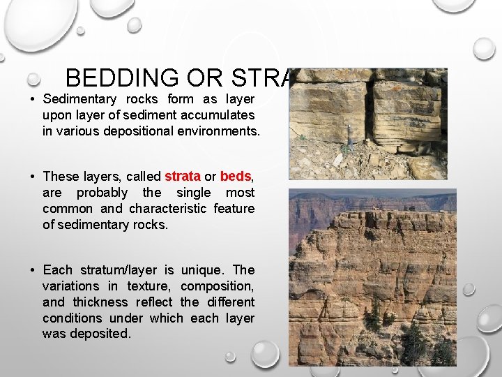 BEDDING OR STRATIFICATION • Sedimentary rocks form as layer upon layer of sediment accumulates