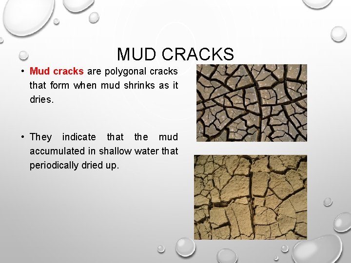 MUD CRACKS • Mud cracks are polygonal cracks that form when mud shrinks as