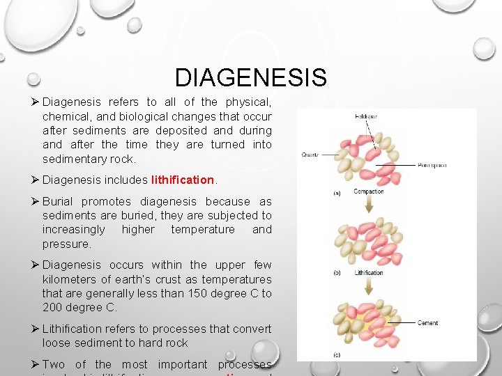 DIAGENESIS Ø Diagenesis refers to all of the physical, chemical, and biological changes that