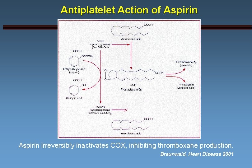 Antiplatelet Action of Aspirin irreversibly inactivates COX, inhibiting thromboxane production. Braunwald, Heart Disease 2001