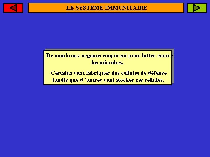 LE SYSTÈME IMMUNITAIRE De nombreux organes coopèrent pour lutter contre les microbes. Certains vont