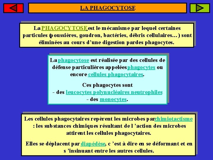 LA PHAGOCYTOSE La PHAGOCYTOSE est le mécanisme par lequel certaines particules (poussières, goudron, bactéries,