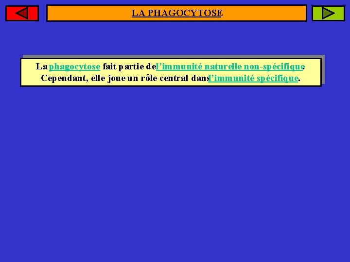 LA PHAGOCYTOSE La phagocytose fait partie de l’immunité naturelle non-spécifique. Cependant, elle joue un