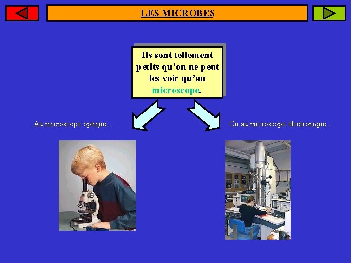 LES MICROBES Ils sont tellement petits qu’on ne peut les voir qu’au microscope. Au