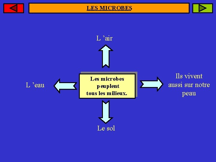 LES MICROBES L ’air L ’eau Les microbes peuplent tous les milieux. Le sol