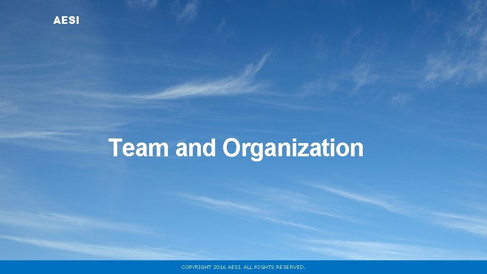 AESI Team and Organization COPYRIGHT 2016 AESI. ALL RIGHTS RESERVED. 