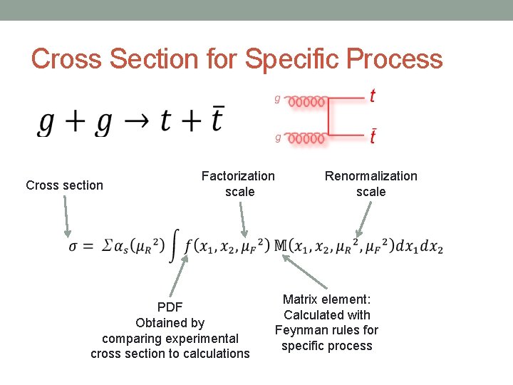 Cross Section for Specific Process Cross section Factorization scale PDF Obtained by comparing experimental