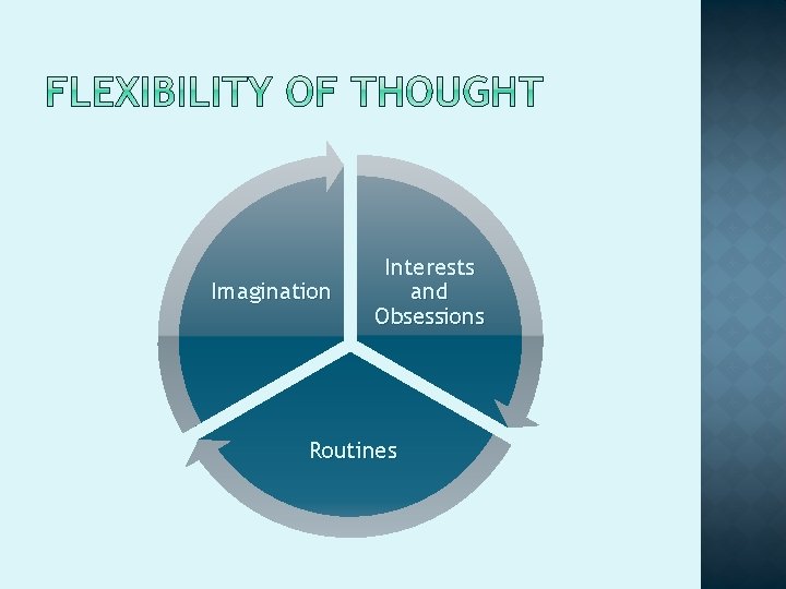 Imagination Interests and Obsessions Routines 