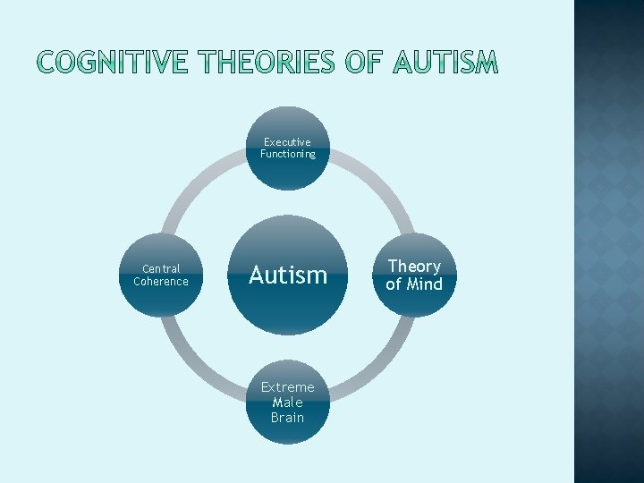 Executive Functioning Central Coherence Autism Extreme Male Brain Theory of Mind 