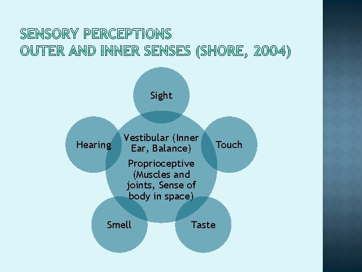 Sight Hearing Vestibular (Inner Ear, Balance) Proprioceptive (Muscles and joints, Sense of body in