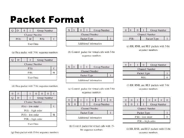 Packet Format 
