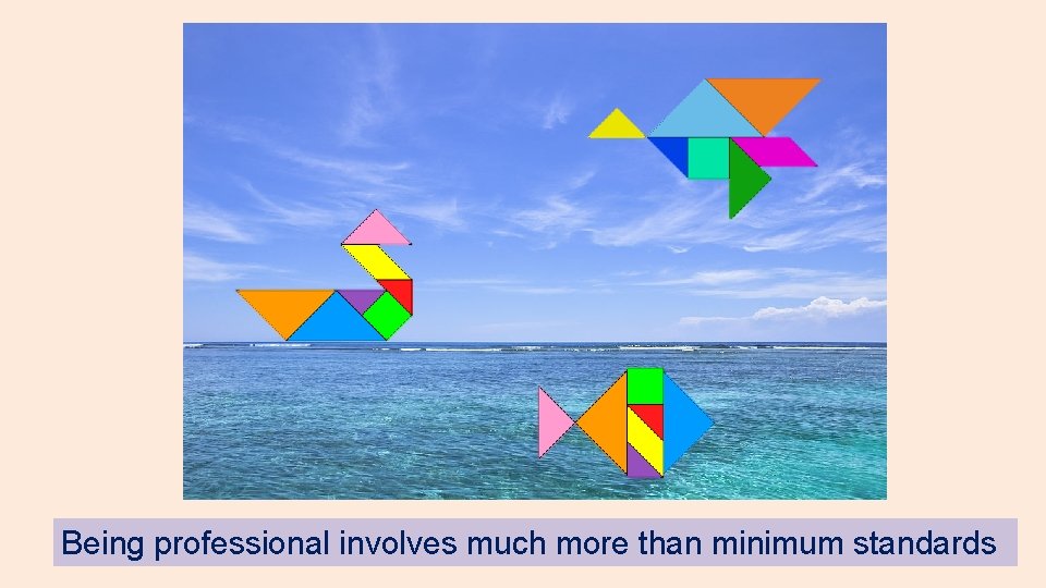 HN 2018 Being professional involves much more than minimum standards HN 2018 Being professional involves much more than minimum standards