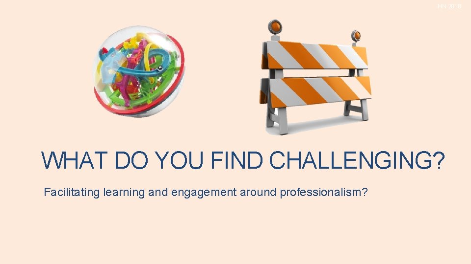 HN 2018 WHAT DO YOU FIND CHALLENGING? Facilitating learning and engagement around professionalism? HN 2018 WHAT DO YOU FIND CHALLENGING? Facilitating learning and engagement around professionalism?