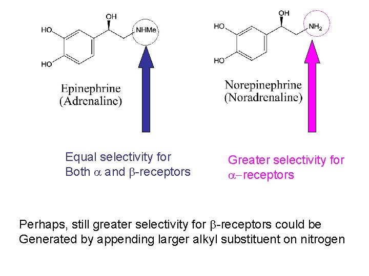 Equal selectivity for Both and -receptors Greater selectivity for receptors Perhaps, still greater selectivity