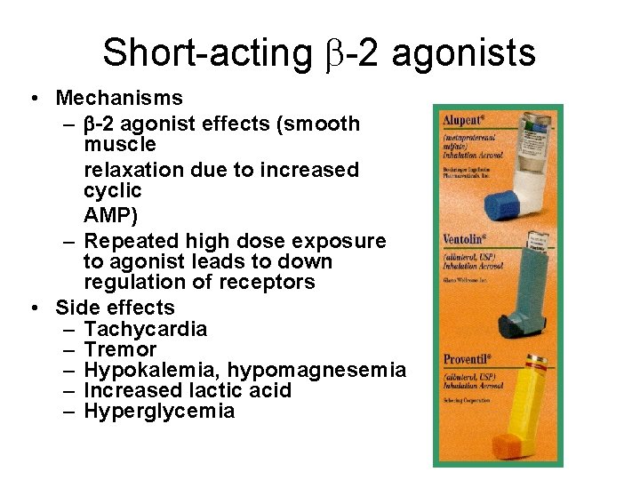 Short-acting -2 agonists • Mechanisms – -2 agonist effects (smooth muscle relaxation due to