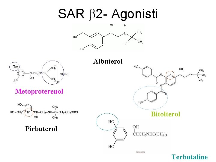 SAR 2 - Agonisti Albuterol Metoproterenol Bitolterol Pirbuterol Terbutaline 