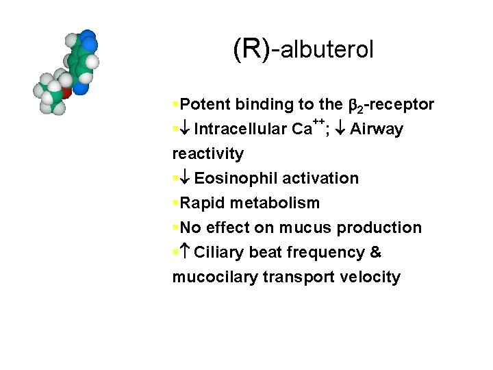 (R)-albuterol §Potent binding to the 2 -receptor ++ § Intracellular Ca ; Airway reactivity