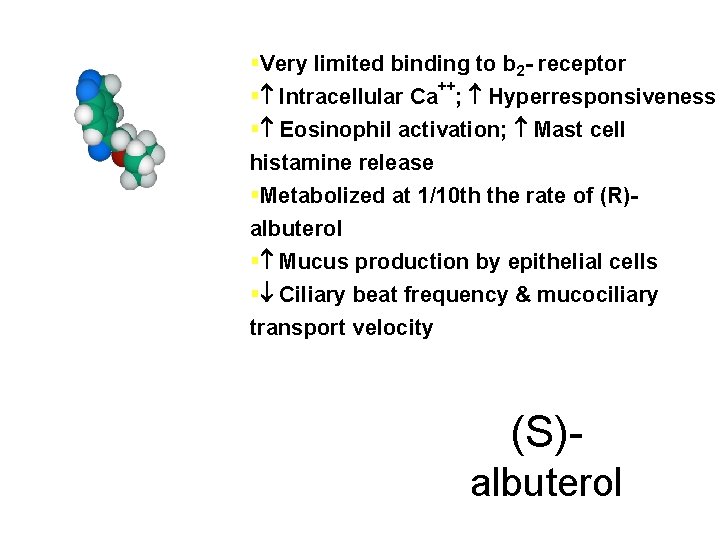 §Very limited binding to b 2 - receptor ++ § Intracellular Ca ; Hyperresponsiveness