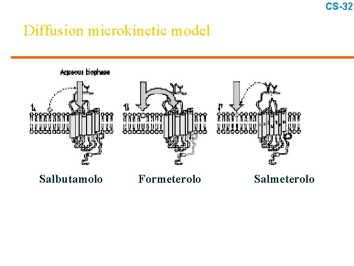 CS-32 Diffusion microkinetic model Salbutamolo Formeterolo Salmeterolo 