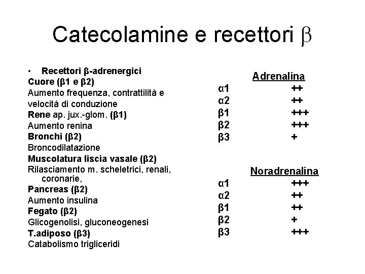 Catecolamine e recettori • Recettori β-adrenergici Cuore (β 1 e β 2) Aumento frequenza,