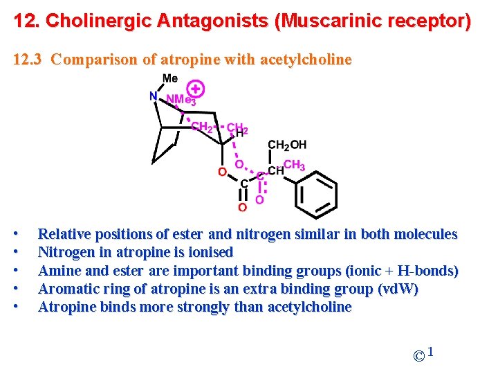 12. Cholinergic Antagonists (Muscarinic receptor) 12. 3 Comparison of atropine with acetylcholine • •