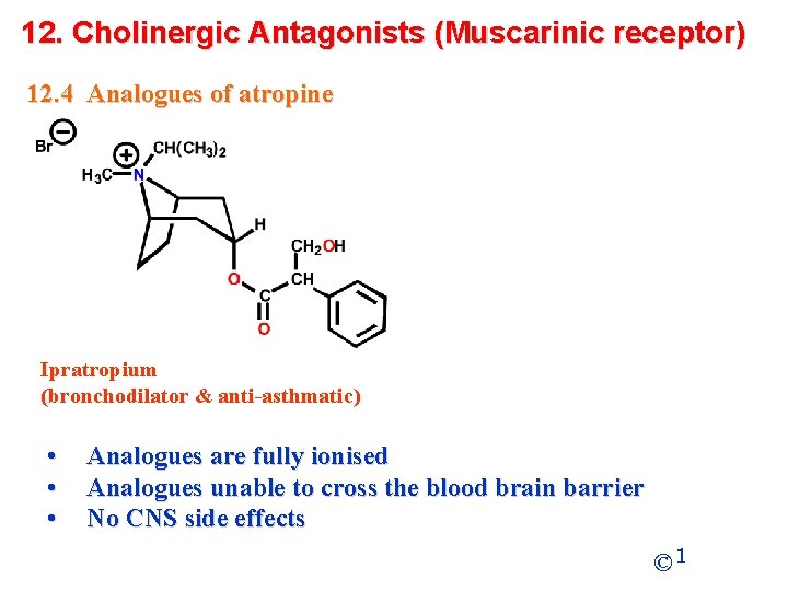 12. Cholinergic Antagonists (Muscarinic receptor) 12. 4 Analogues of atropine Ipratropium (bronchodilator & anti-asthmatic)