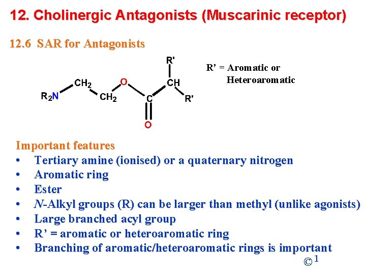 12. Cholinergic Antagonists (Muscarinic receptor) 12. 6 SAR for Antagonists R' = Aromatic or