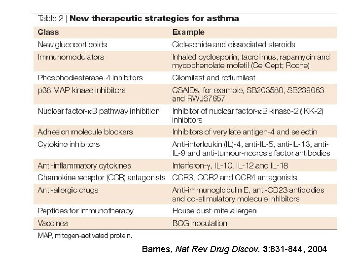 Barnes, Nat Rev Drug Discov. 3: 831 -844, 2004 