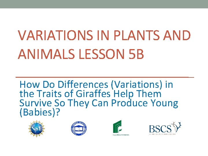 VARIATIONS IN PLANTS AND ANIMALS LESSON 5 B How Do Differences (Variations) in the