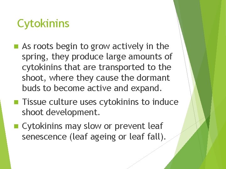 Cytokinins n As roots begin to grow actively in the spring, they produce large