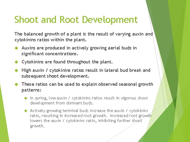 Shoot and Root Development The balanced growth of a plant is the result of