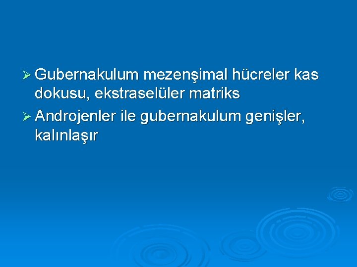 Ø Gubernakulum mezenşimal hücreler kas dokusu, ekstraselüler matriks Ø Androjenler ile gubernakulum genişler, kalınlaşır