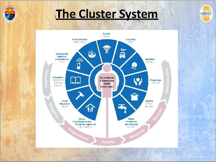 The Cluster System 