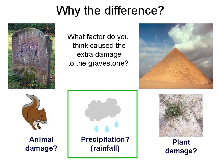 Why the difference? What factor do you think caused the extra damage to the